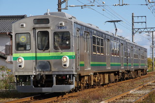 太黄緑帯