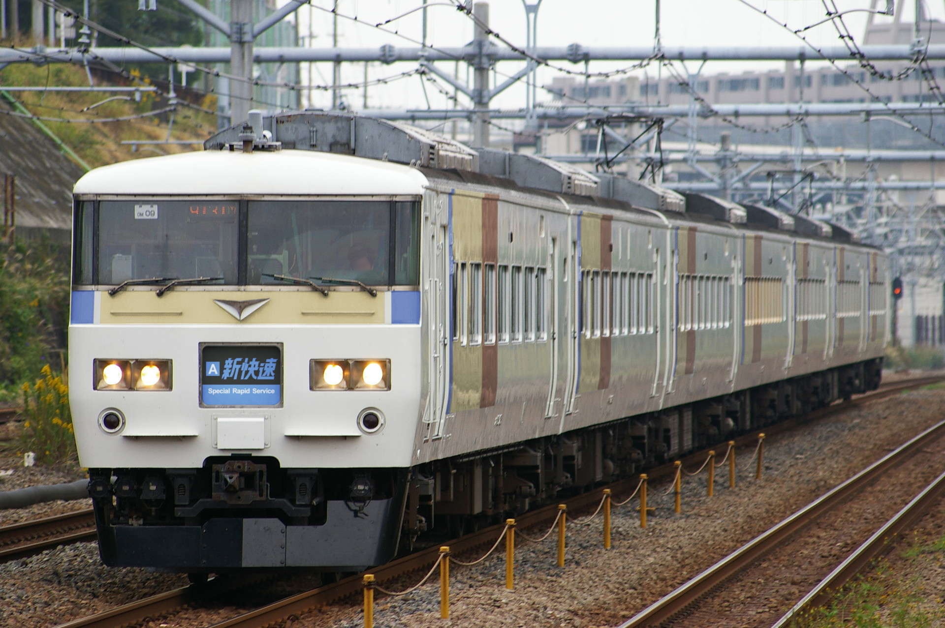 185系のウソ電(京阪神ブロック色)