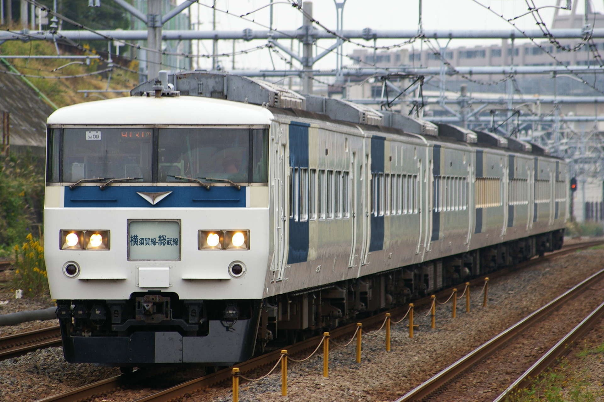 185系のウソ電(横須賀ブロック色)